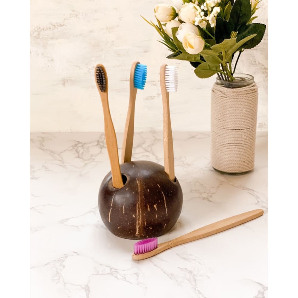 Coconut Shell Toothbrush Holder, brand- ONEarth, available on Souls of India