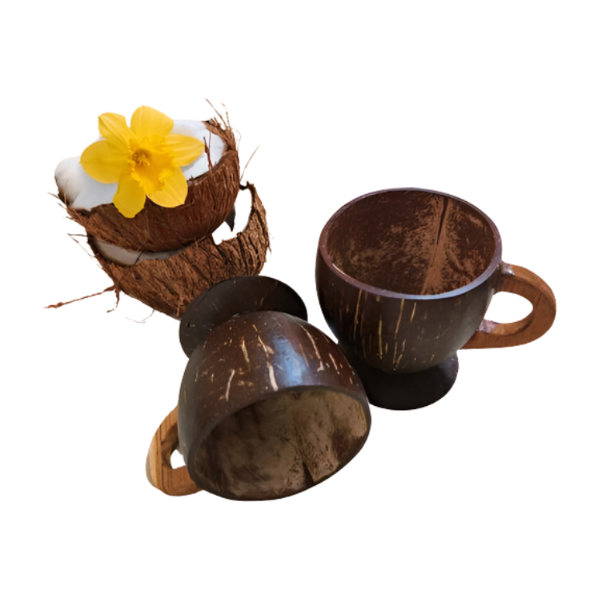 Tea/Coffee Mug (pack of 2) , brand- ONEarth, available on Souls of India