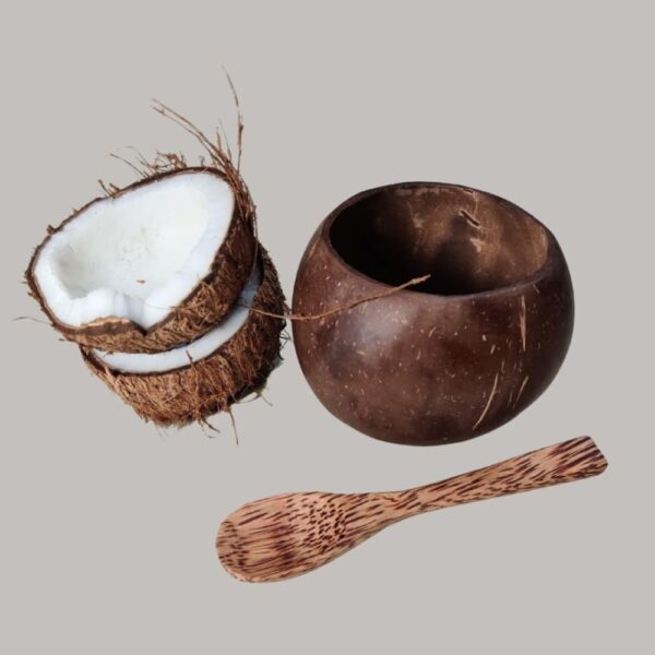 Coconut Shell Bowl Set With Spoon (Pack of 2), brand- ONEarth available on Souls of India